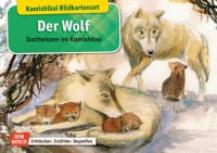 Der Wolf - Kamishibai Bildkartenset